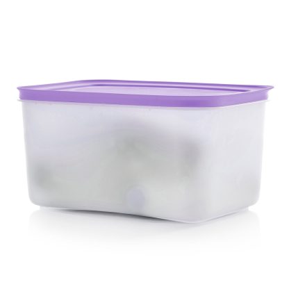 Tupper Ware Tupperware® Freezer Mates® PLUS Medium Deep | Food Storage Container